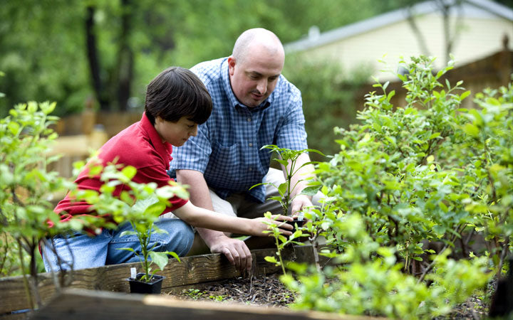 Garden lover