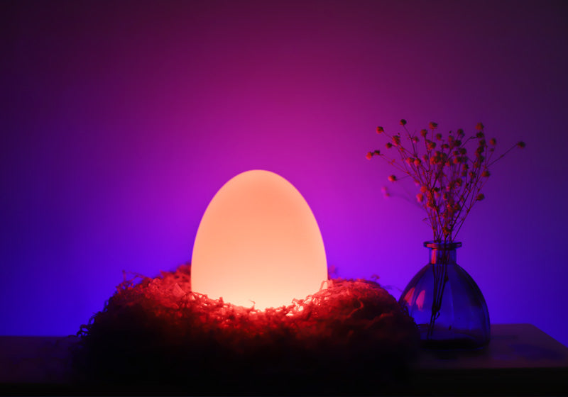 Mr.Go 8-inch Rechargeable LED Egg Lamp with Remote, Color Changing LED Egg  Light, 16 RGB Colors Mood Lighting, Bright and Dim Settings, Great as Night