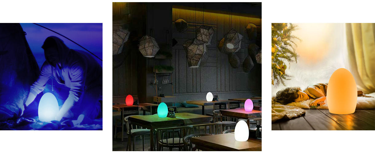 Mr.Go 8-inch Rechargeable LED Egg Lamp with Remote, Color Changing LED Egg  Light, 16 RGB Colors Mood Lighting, Bright and Dim Settings, Great as Night