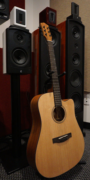 aperion-music-g41-acoustics-guitar