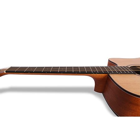 aperion-music-g41-acoustics-guitar-neck