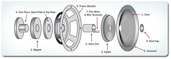 Anatomy of a Speaker – Aperion Audio