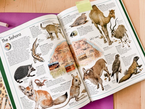 Animal atlas books for kids.