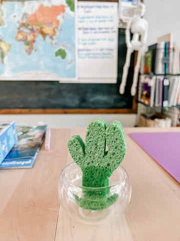 Cactus hands on activity for learning about the desert with kids.