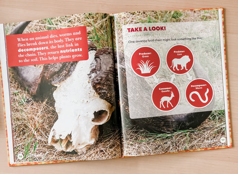 Grassland food chain biome book for kids.