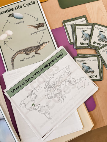 Teachers pay teachers crocodile and alligator activity printable.