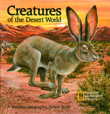 Desert pop up book for kids