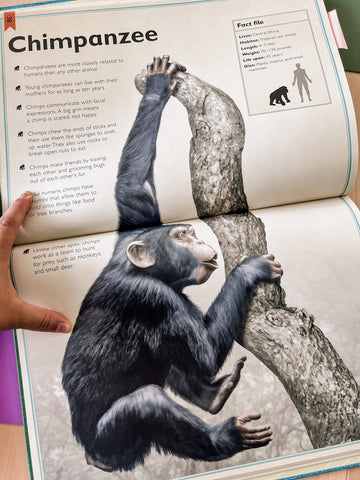 Animal books or kids on chimpanzees.