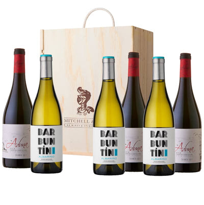 Spanish Superstars: Aduna Rioja Crianza & Barbuntin Albariño | Wine Gift Set in 6 bottle wooden gift box