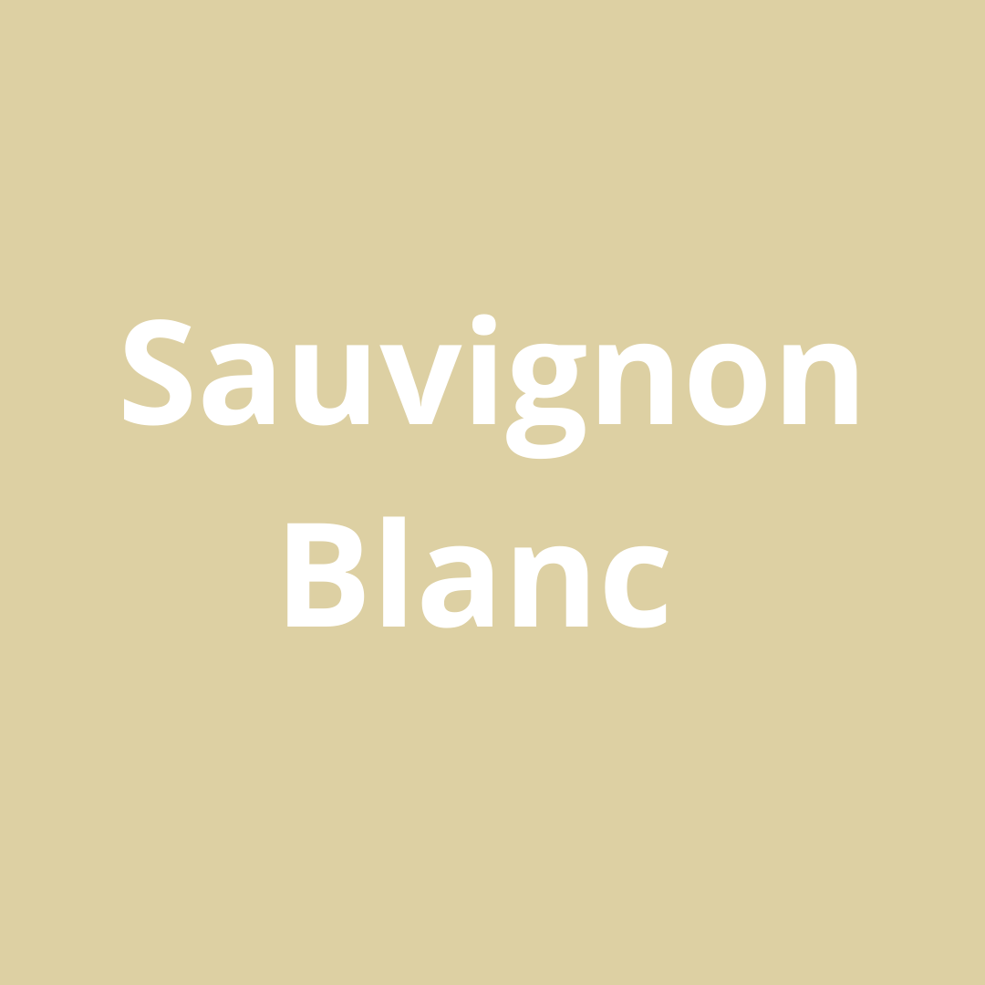 Best Sauvignon Blanc Wine Guide