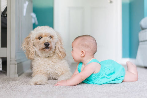 baby tummy time with dog