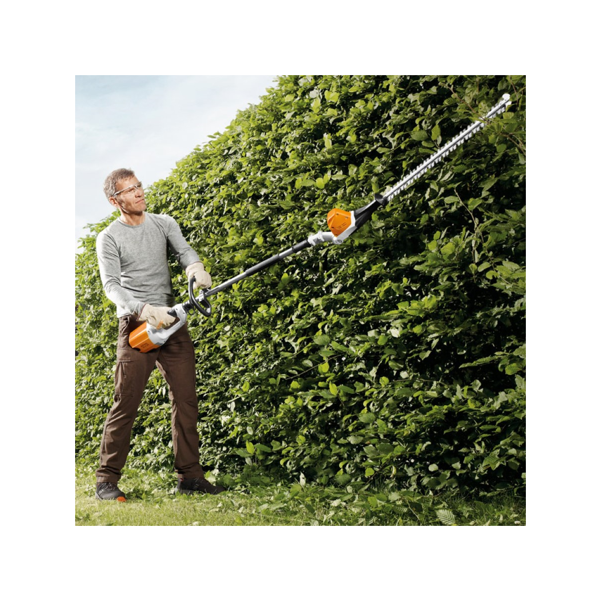 hedge trimmers on a pole