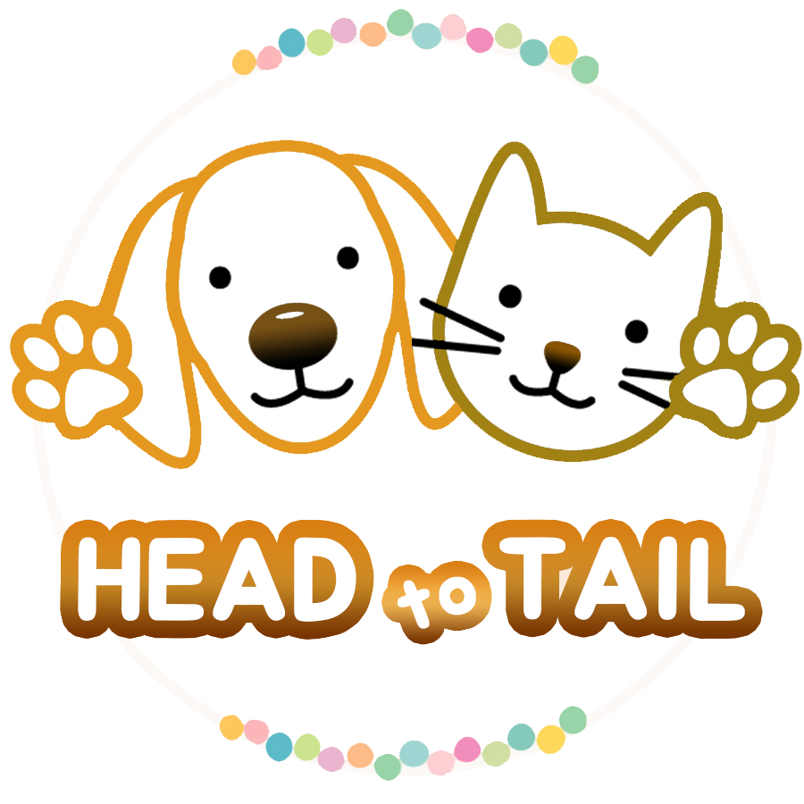 My Head To Tail