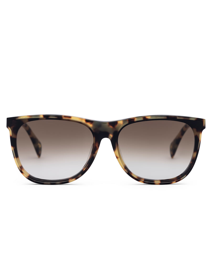 havana wayfarer sunglasses