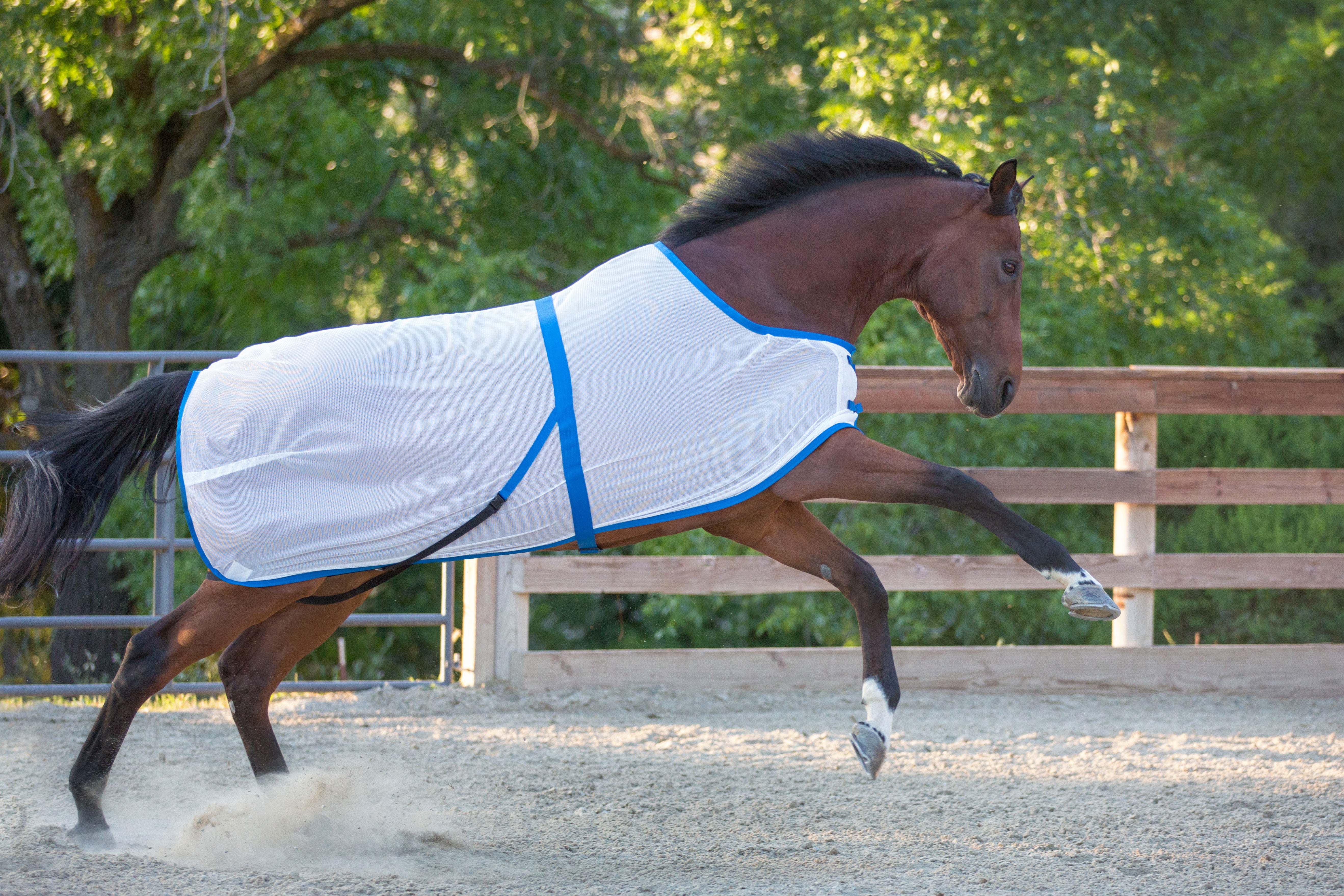 Perfromance Fly Mesh Quarter Sheet