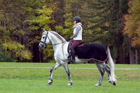 custom quarter sheets riding blanket for horses