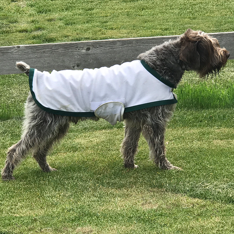cooling coat for dogs
