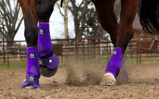 28RI L M S Hilason Horse Front Leg Ultimate Sports Boots Pair Yellow Black