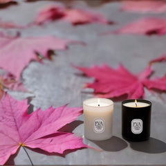 Autumn Candles | Harvest Spirit