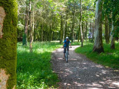 Stangala Valley trails