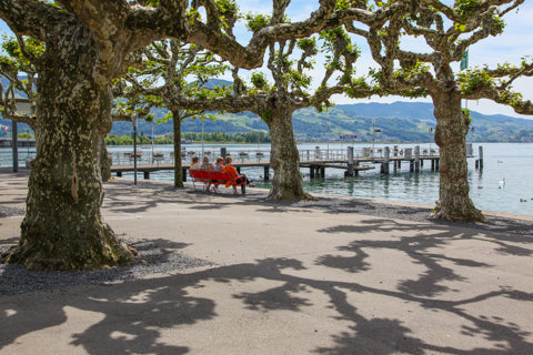 Swiss Cycle Tour Rapperswil