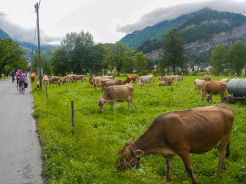 Liechtenstein lush valleys