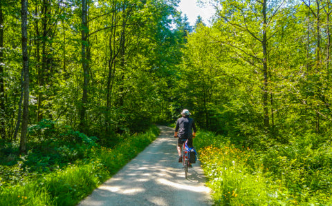 Swiss Cycling Adventure