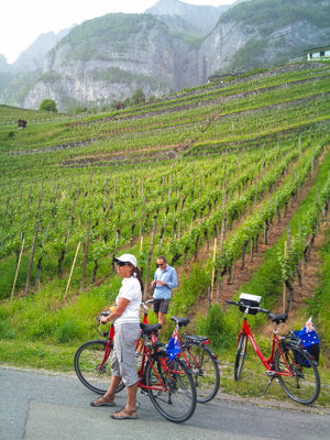 Wallensee vineyards Swiss Cycle
