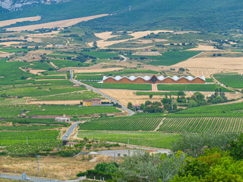 Rioja Alavesa Wine Region Spain Cycle Tour