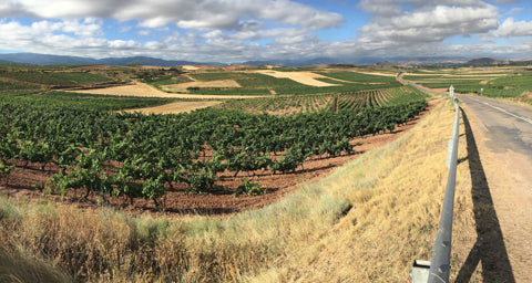 Elciago, Rioja Alavesa, cycle Spain