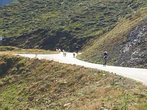 Col du Tormalet cycle Pyrenees
