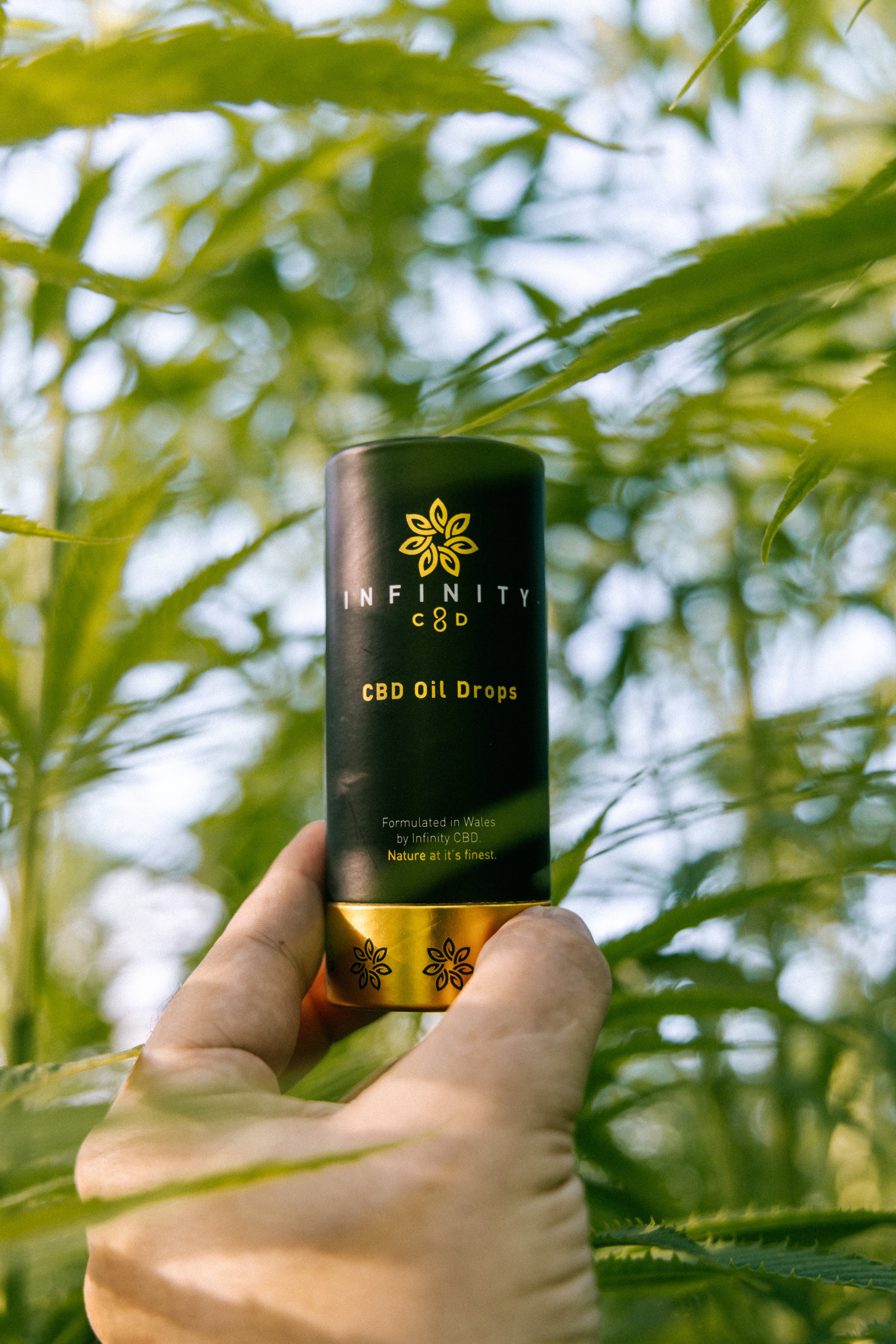 Our Best Selling CBD Oil Drops for Anxiety