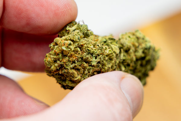 UK Legal medical cannabis guide