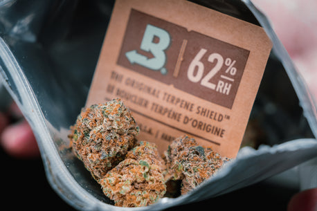 Boveda packs for 10g packs of medical cannabis flos uk