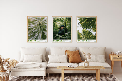 cannabis photography prints UK 