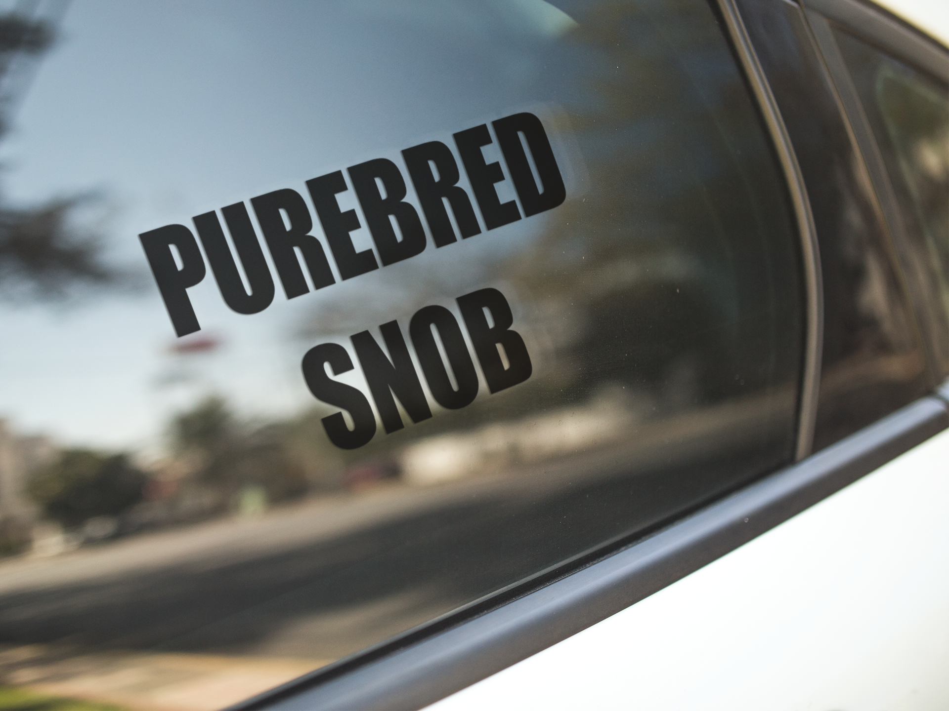 Download Purebred Snob Car Decal Kai S Ruff Wear PSD Mockup Templates
