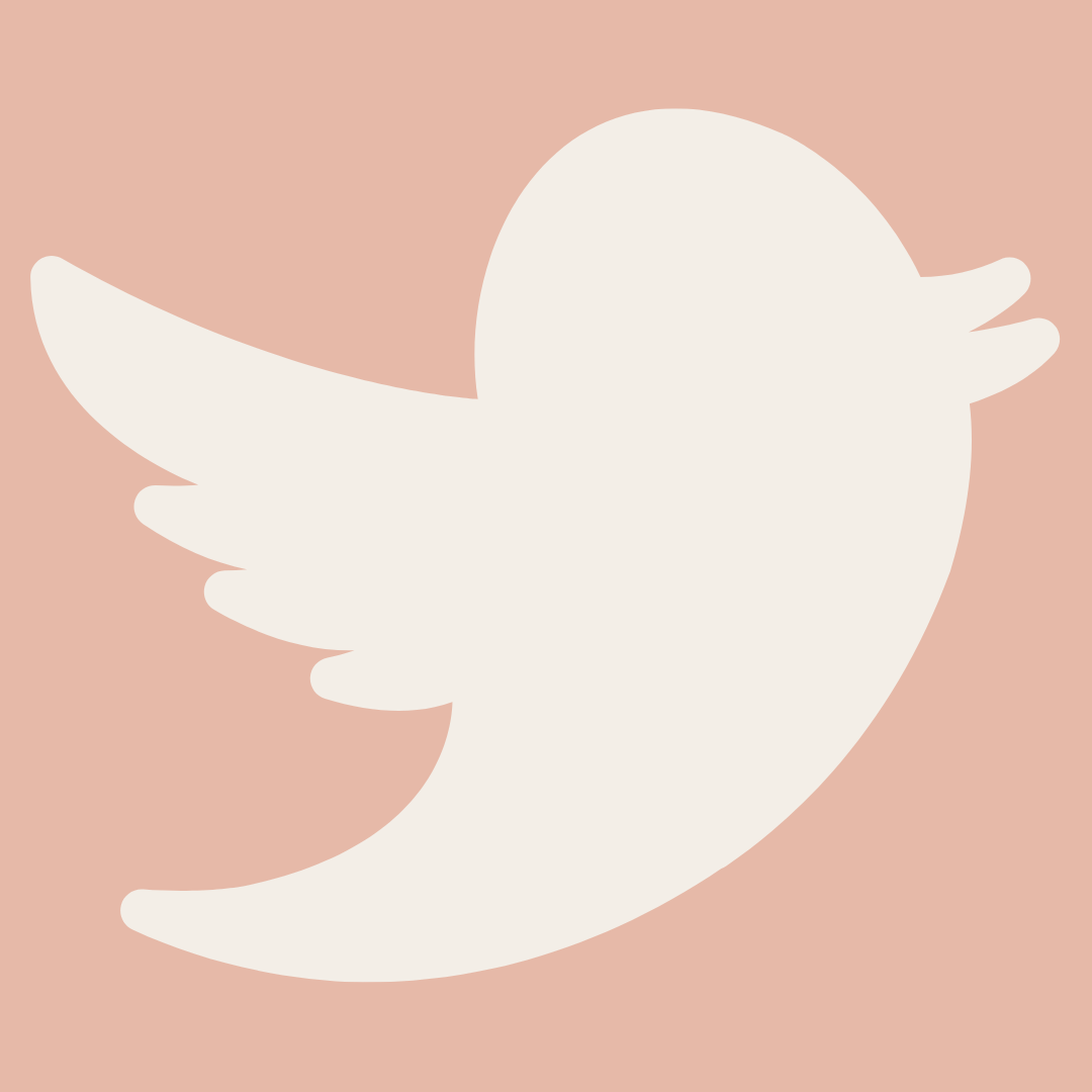 twitter bird logo on blush background