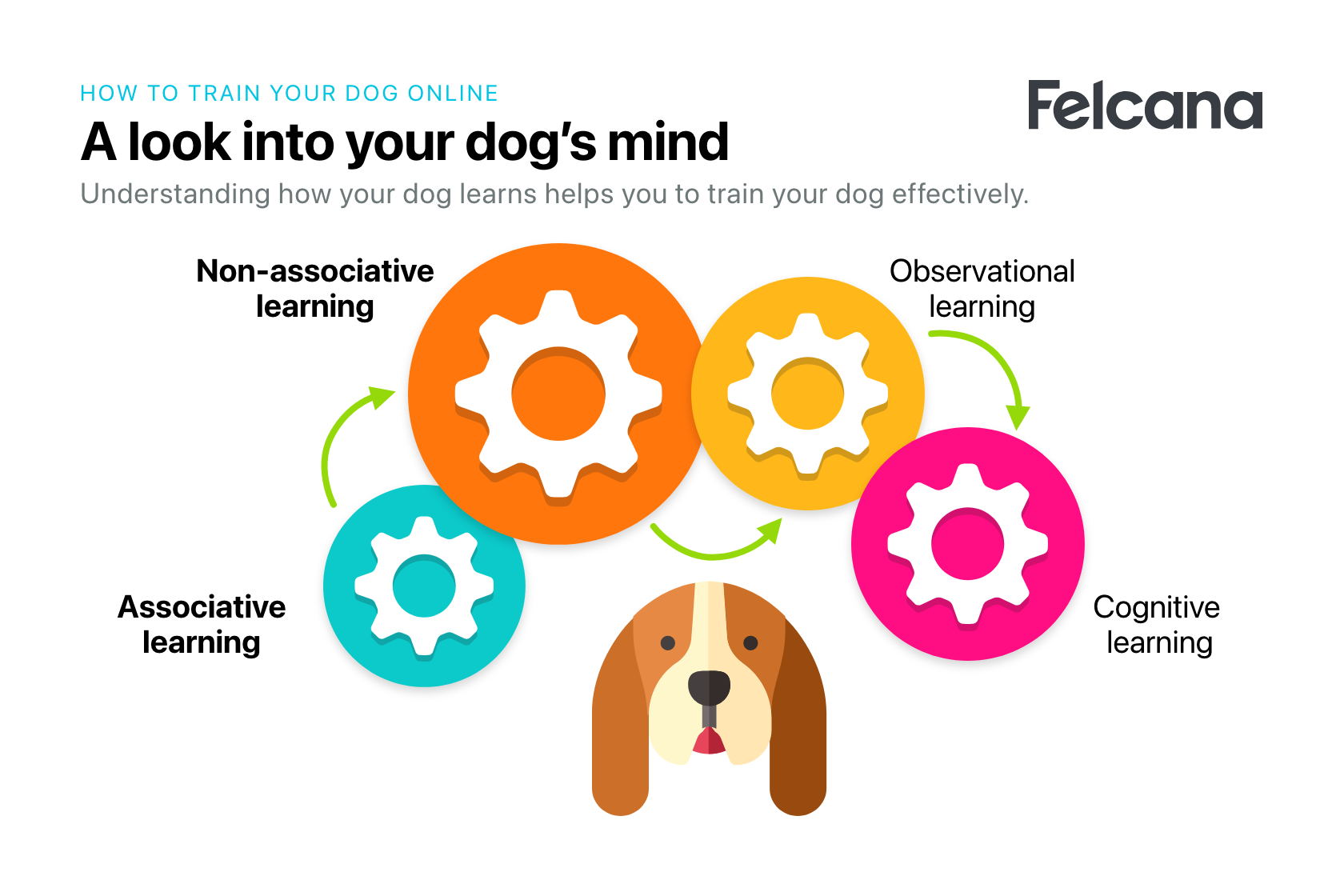 Four cog wheels explaining four different ways dogs learn to aid training