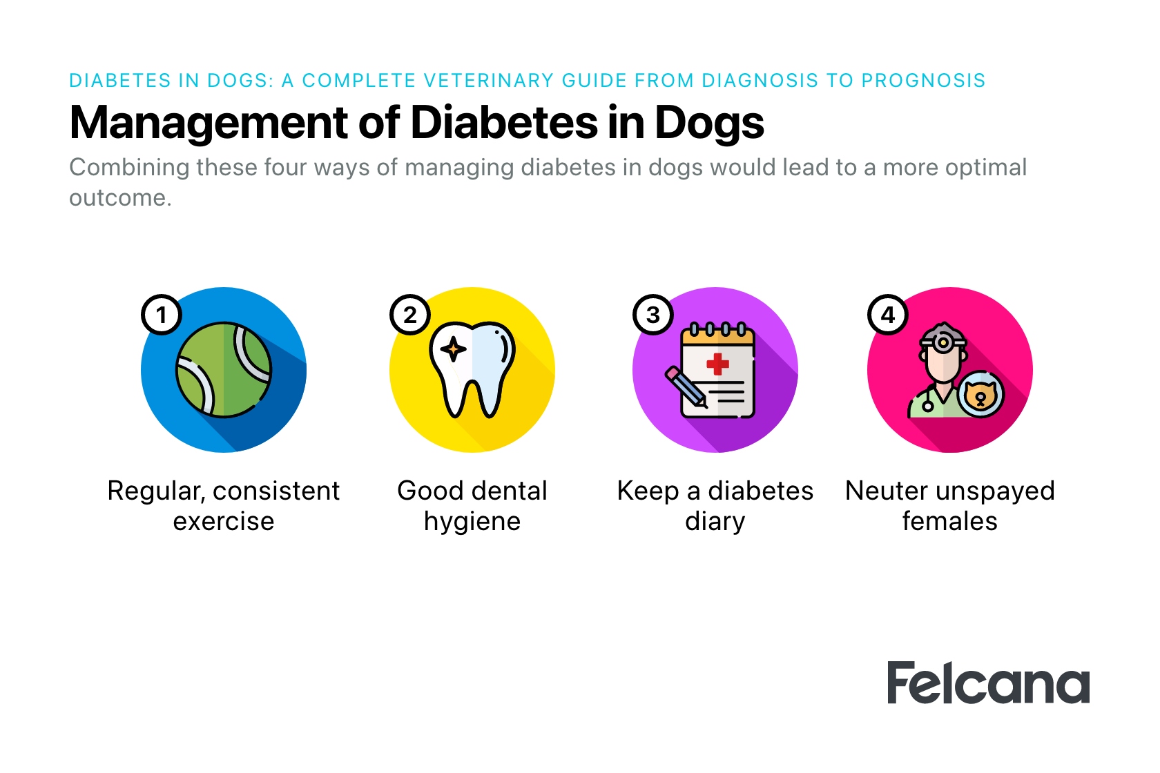 Lifestyle changes to manage dog diabetes, mainly consistent exercise, keeping logbook, good dental hygiene, spaying females.