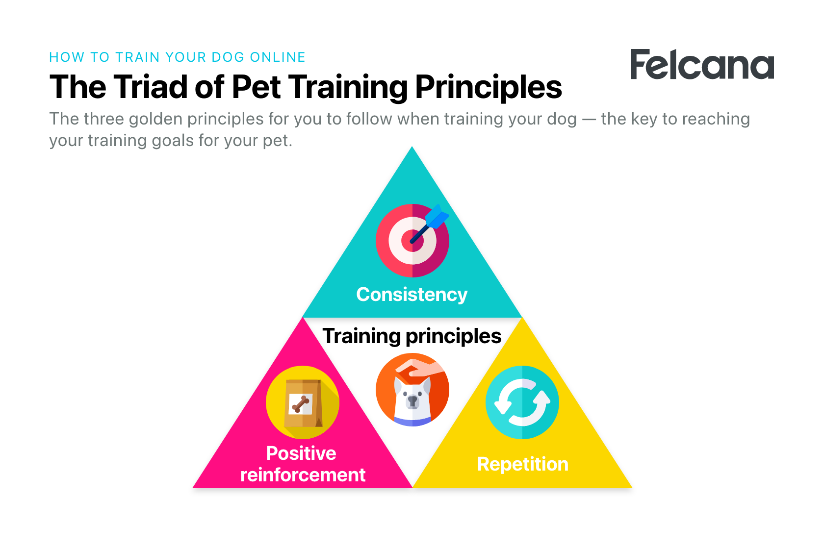 Pyramid of the three core principles for dog training