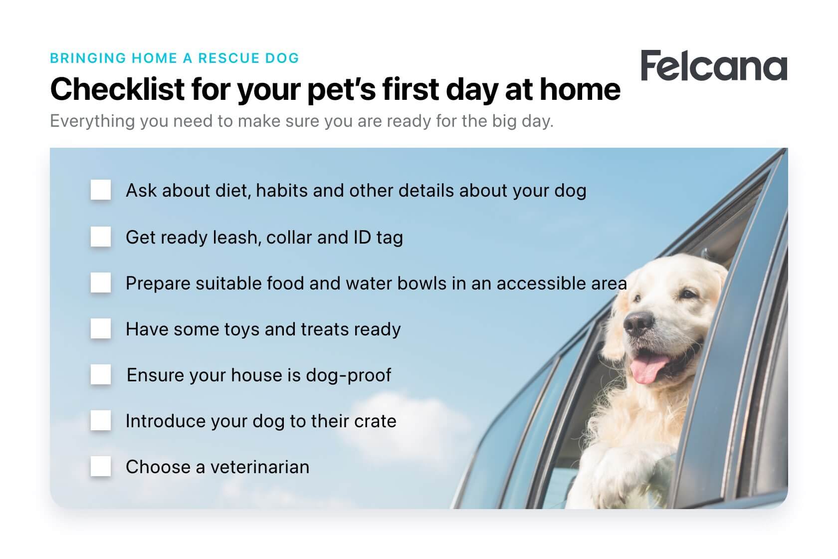 Checklist for your pet's first day at home