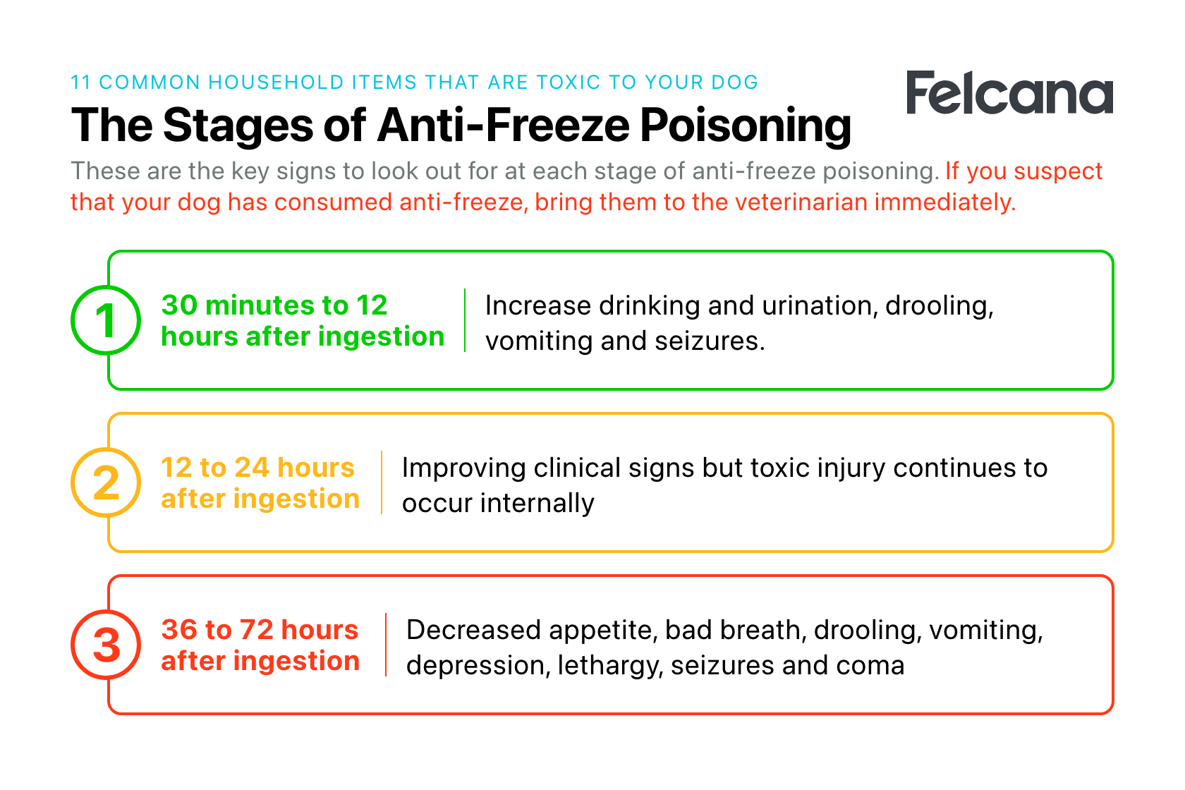 Summary of the three stages of anti-freeze poisoning in dogs and signs to look out for