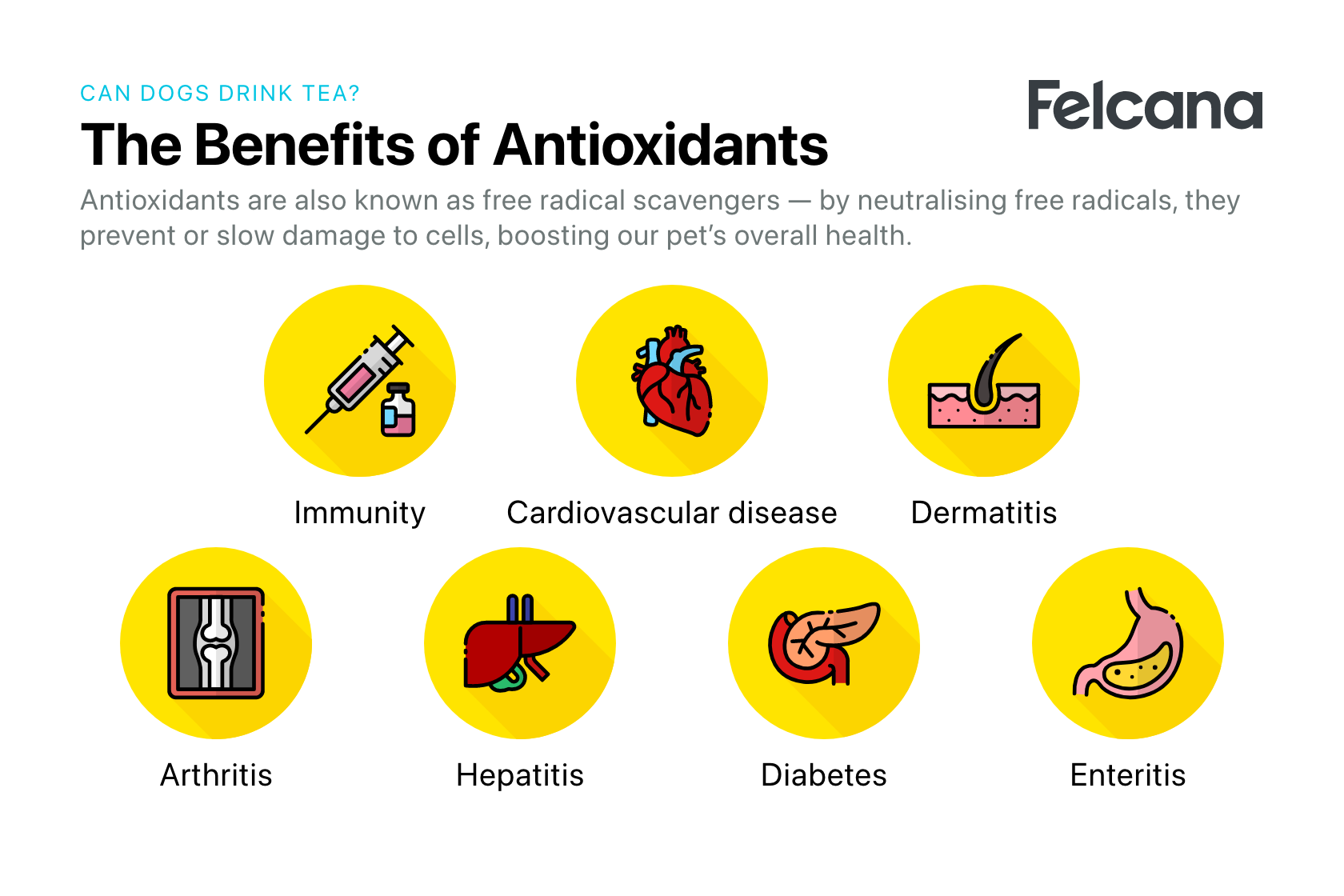 Benefits of antioxidants include neutralizing free radicals, preventing or slowing damage to cells