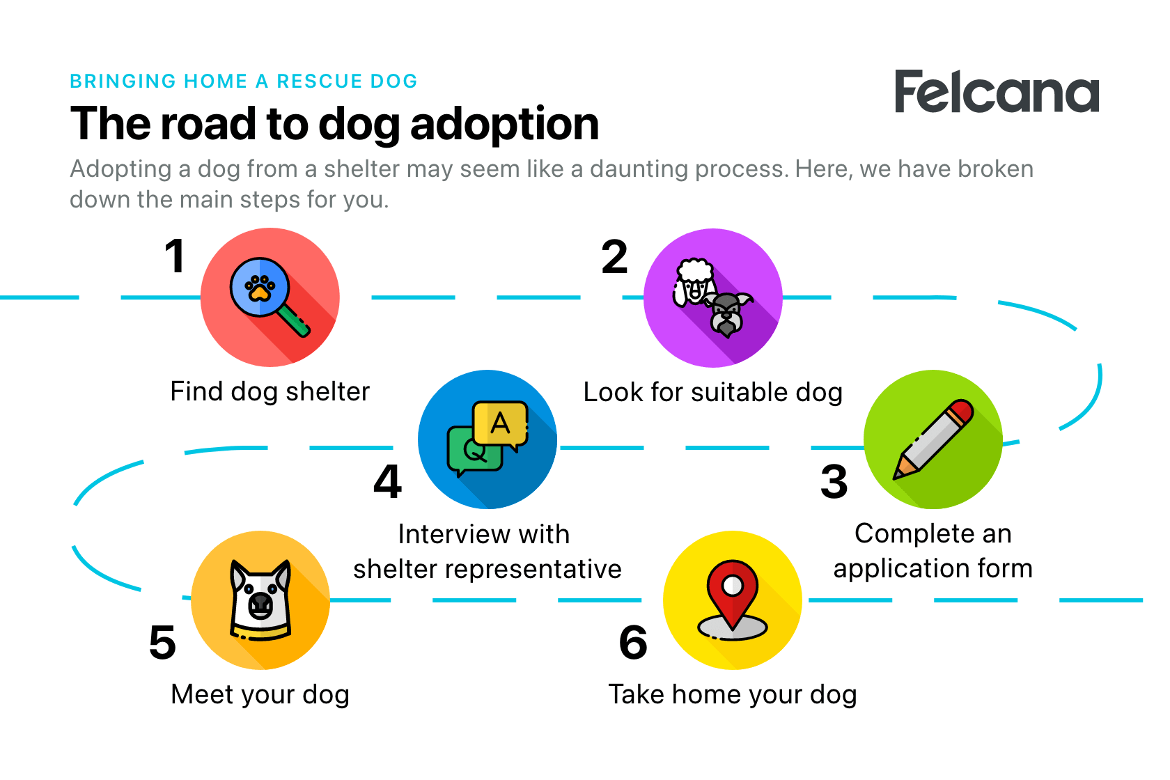 what is the process for adopting a dog
