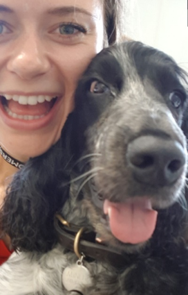 Daisy the Cocker Spaniel on Bring Your Dog to Work Day