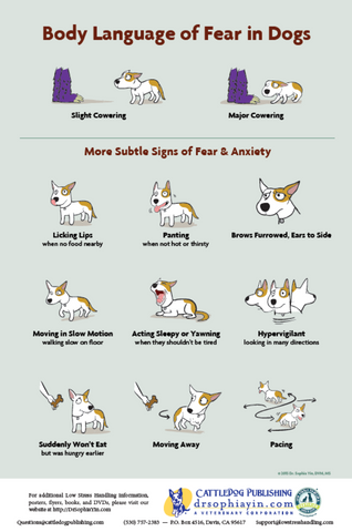 Body language of fear and anxiety in dogs