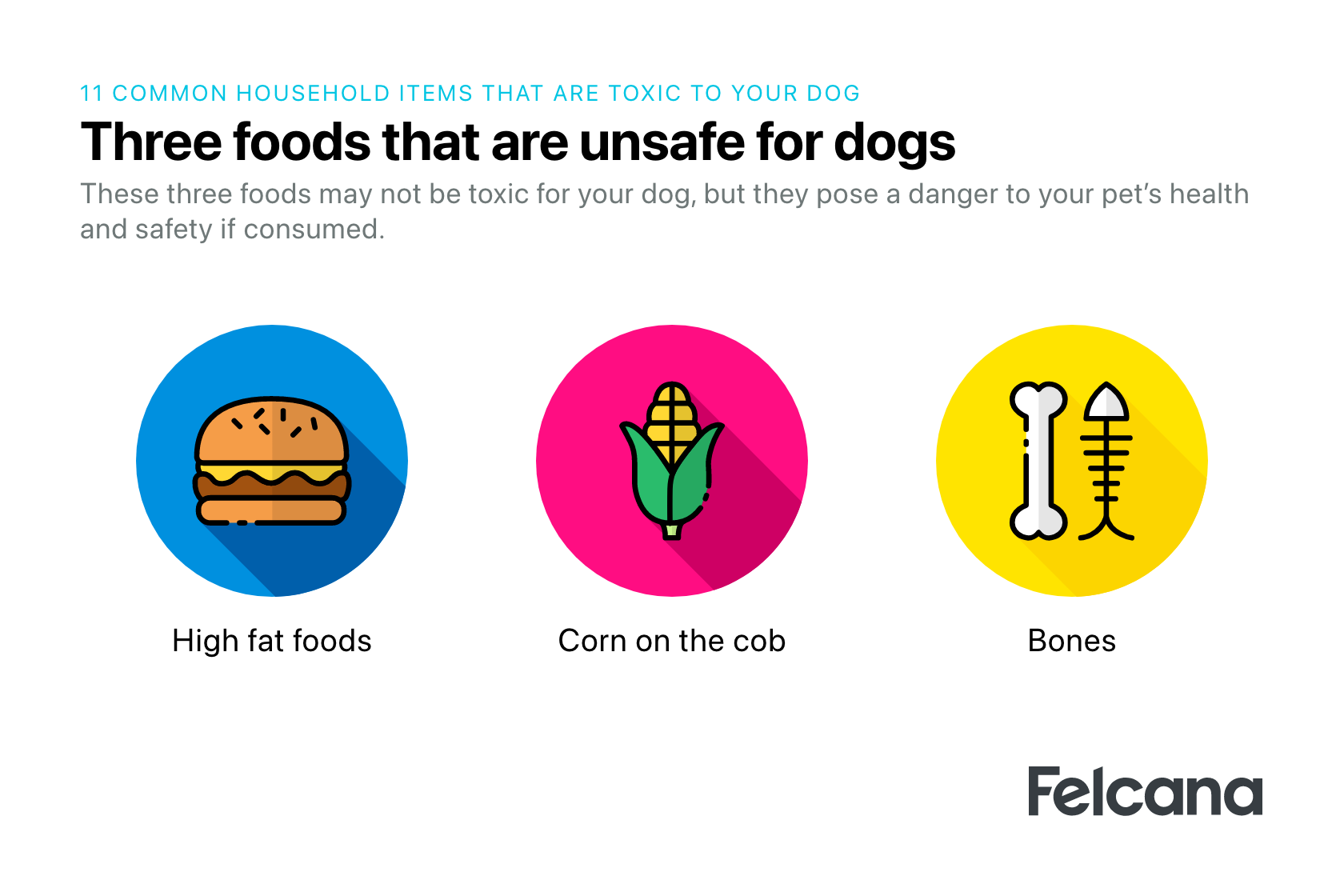 The top 3 most unsafe foods for your dog such as corn on the cob