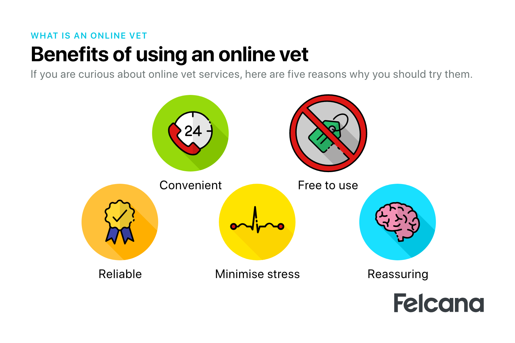 5 benefits of using an online vet: Convenient, free to use, reliable, reassuring, minimise stress