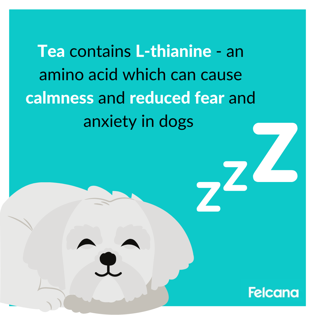 Tea contains L-thianine - an amino acid which can cause calmness and reduced fear and anxiety in dogs