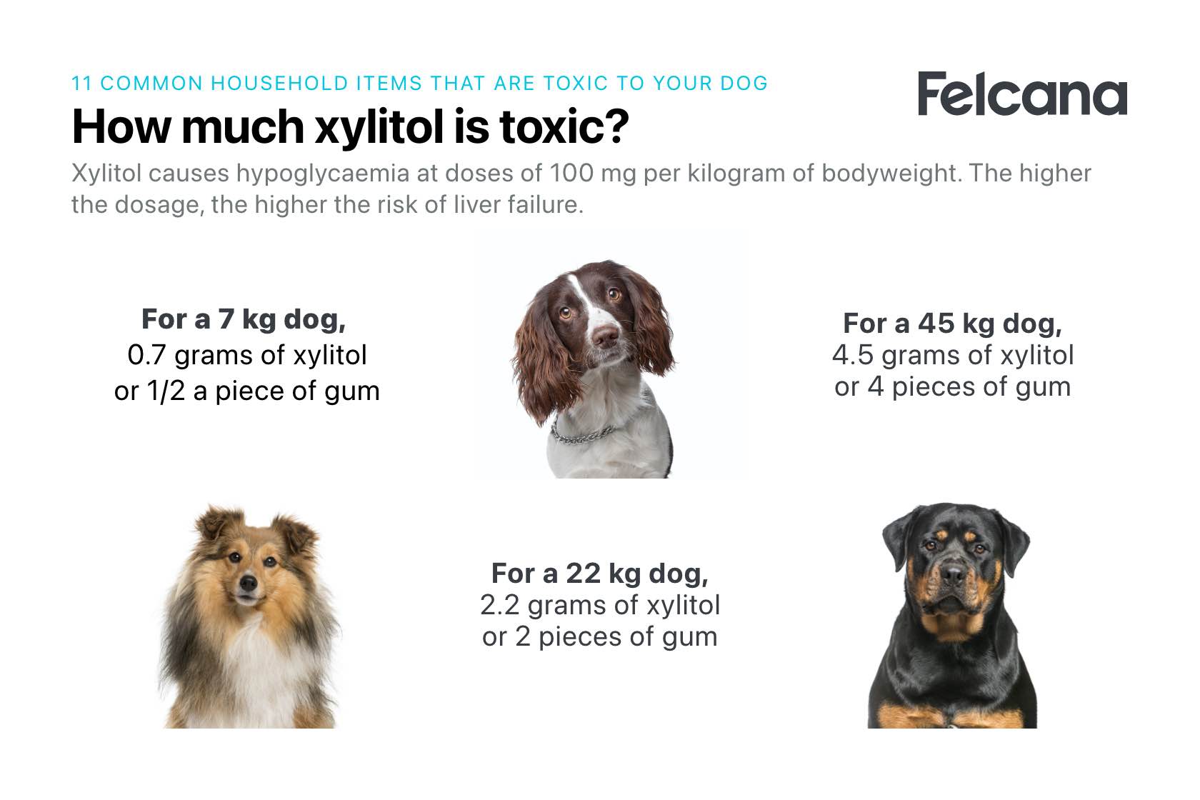 Amount of xylitol that is toxic to dogs according to bodyweight